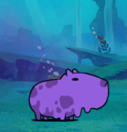 Zapy